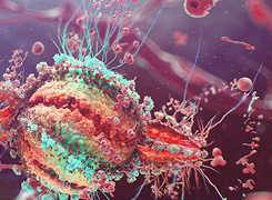 ZBrush2018.1中文版 附安装教程