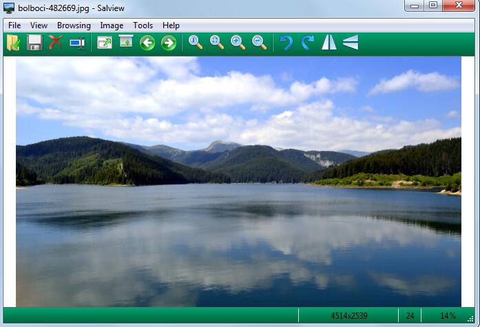 电脑图片查看器(Salview) v2.3破解版