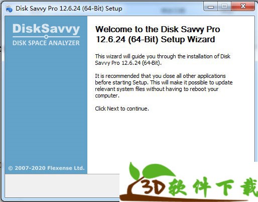 202204250548216244800001 Disk Savvy Pro破解版