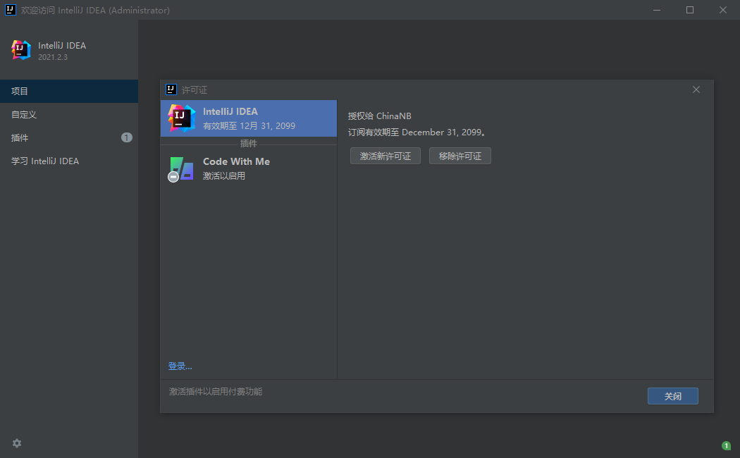 IntelliJ IDEA 2021破解版