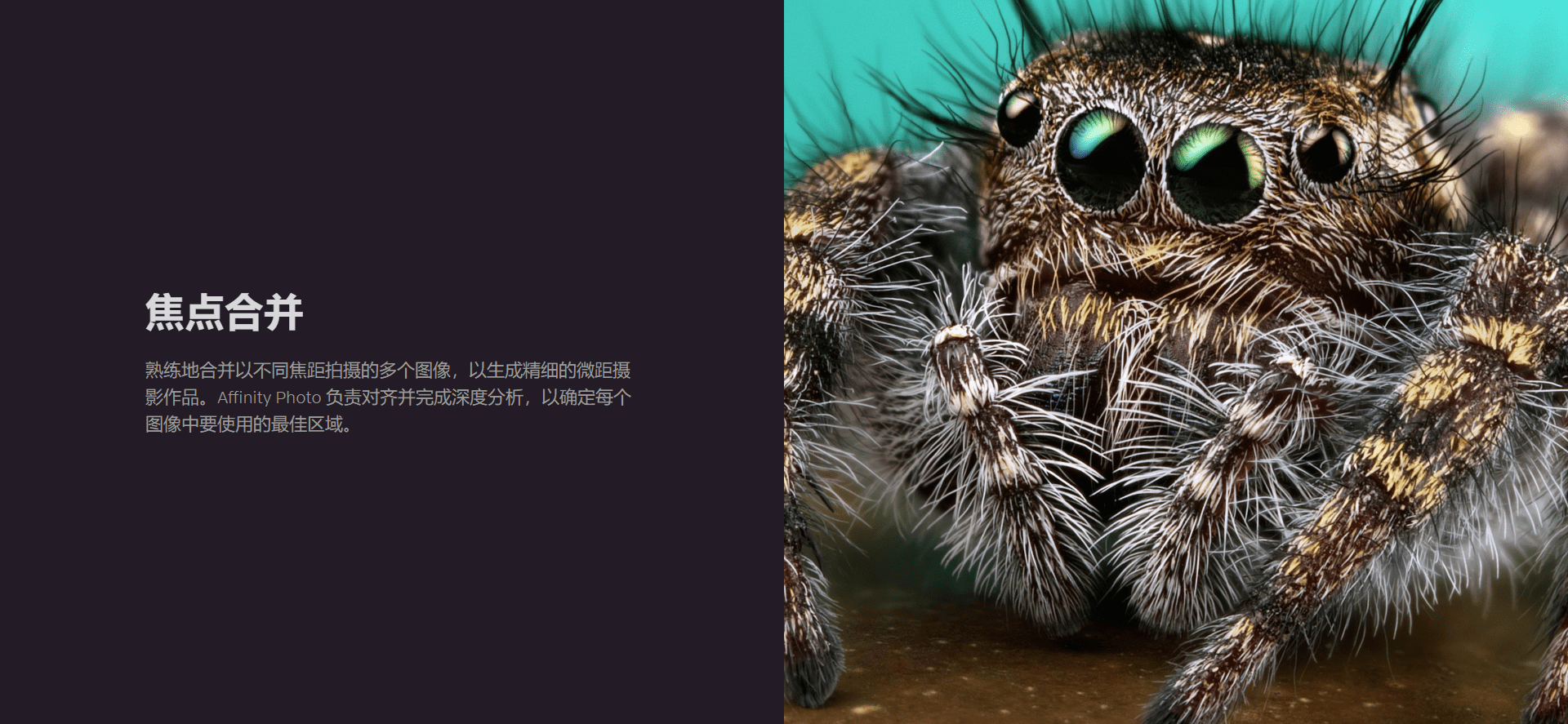 Affinity Photo 中文破解版