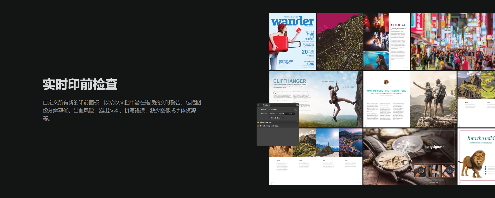 Affinity Publisher 中文破解版
