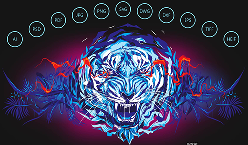 coreldraw官方软件下载