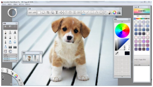 sketchbook是位图软件