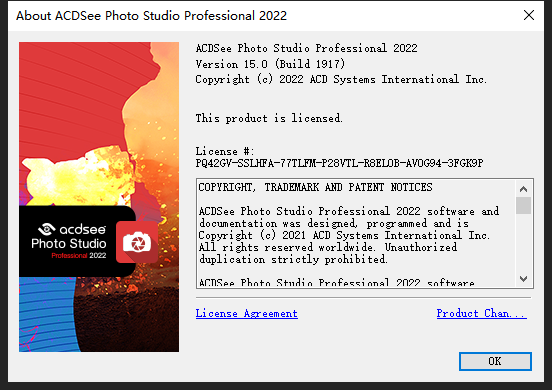 acdsee下载后有很多软件怎么办