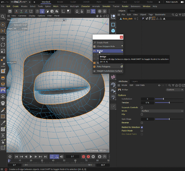 cinema 4d 软件下载