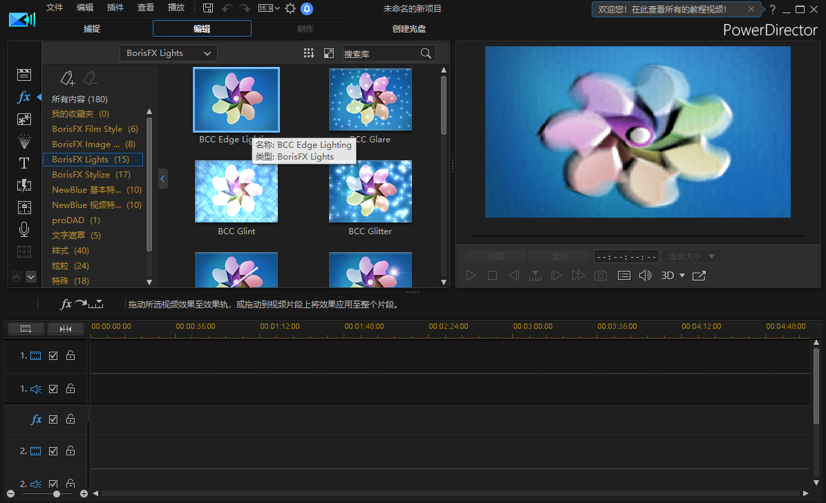 adobe director作业