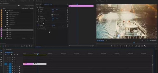 adobe premiere2.0下载