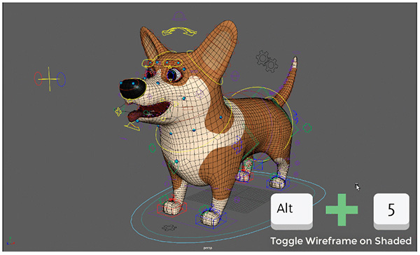 maya5.0软件下载