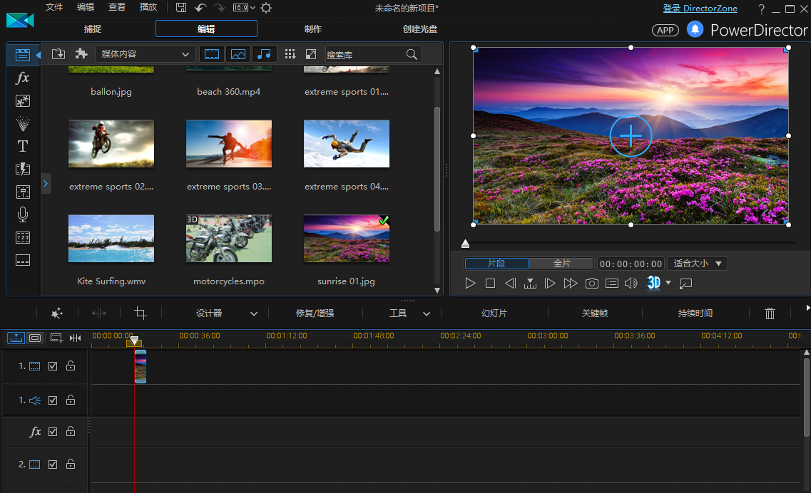 adobe director 模板
