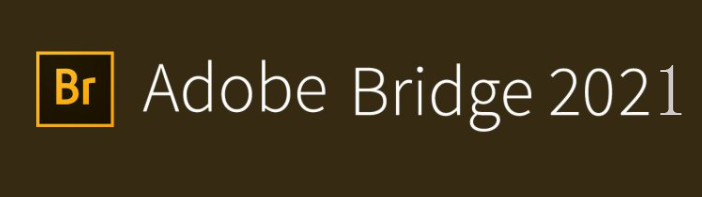 桥牌游戏软件下载 bridge v