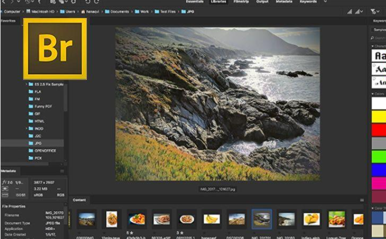 adobe bridge有下载吗