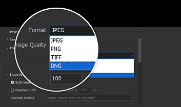 adobe bridge cs6 br cs6 下载
