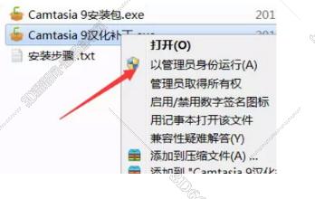 camtasia studio特效下载