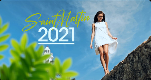 davinci resolve 已停止工作