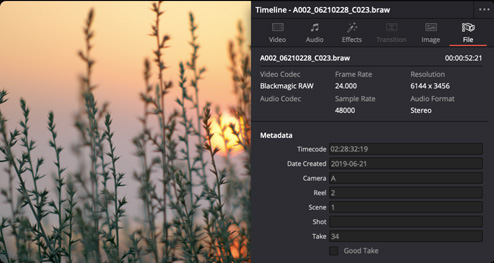 davinci+resolve+v12.5
