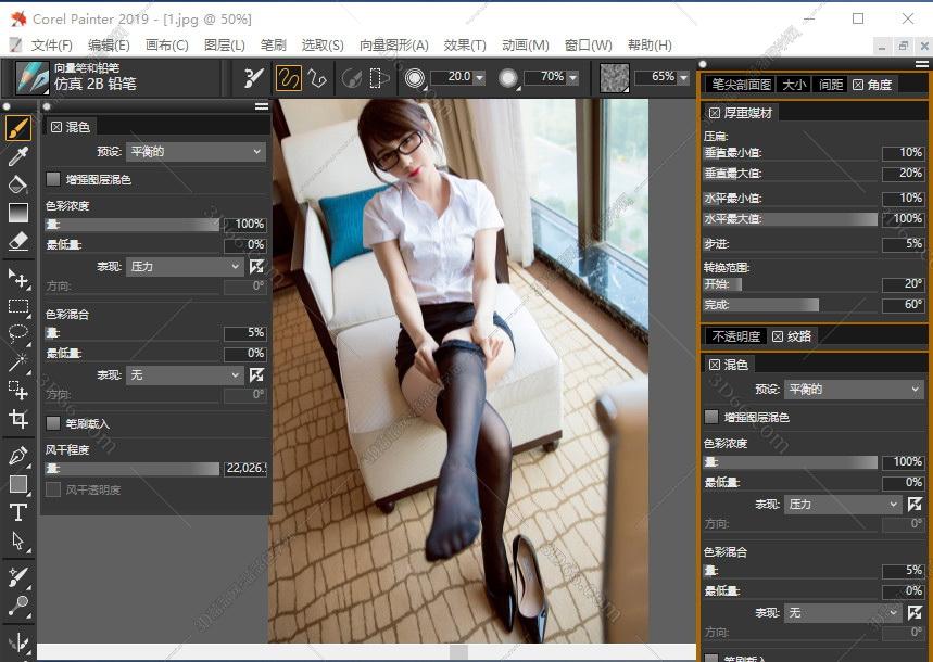 Corel Painter 2019【Painter 2019中文版】中文破解版安装图文教程、破解注册方法