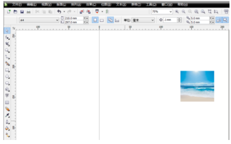 免费coreldraw x5软件下载