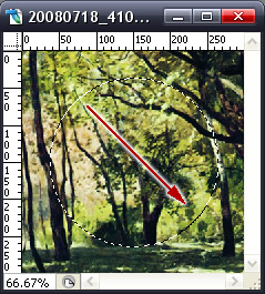 202305010212572550800009 ps软件是photoshop吗