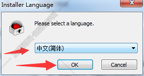 bandicam录屏软件视频格式