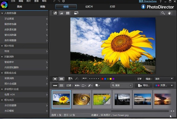 adobe director for mac