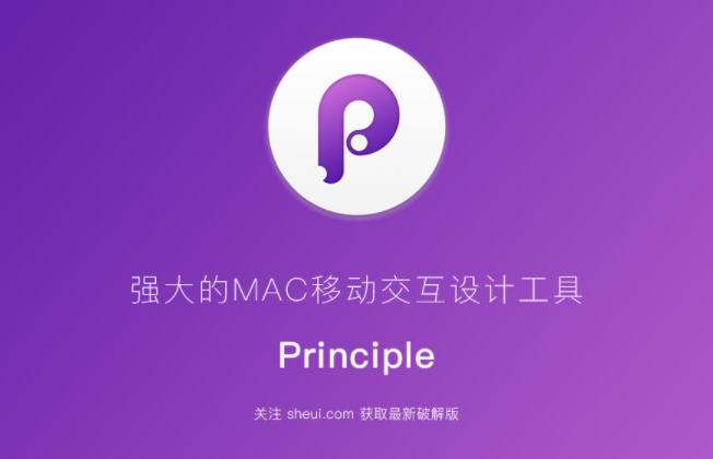 principle软件win