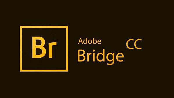 Adobe Bridge 2021 v11.1.1.185 中文破解版下载【Win+Mac】
