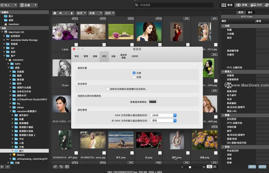 mac acdsee破解版下载