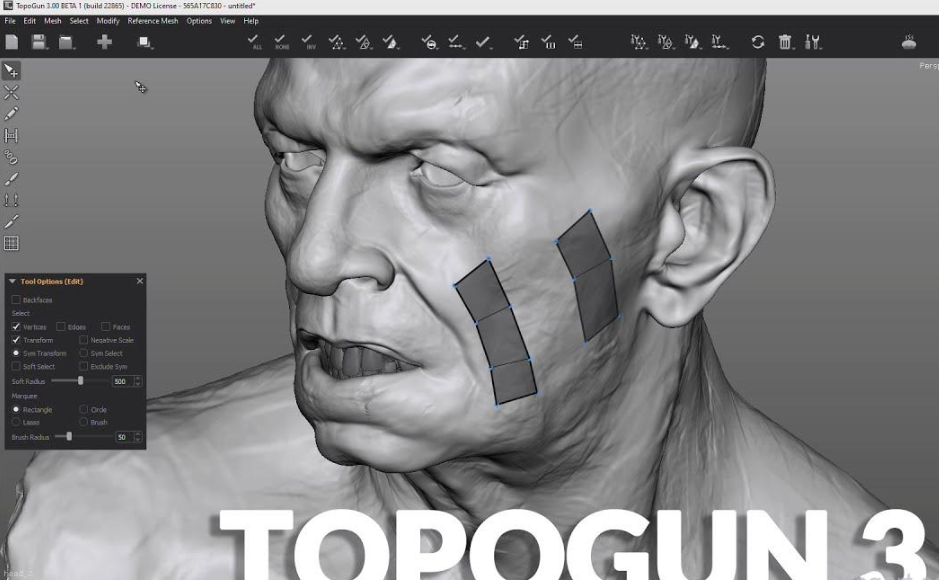 topogun 2 汉化下载