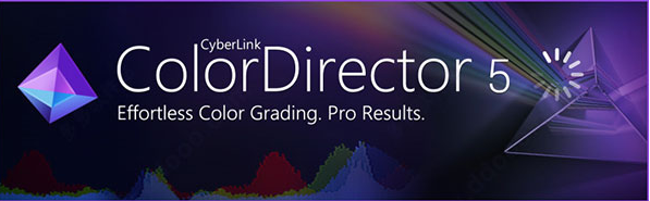 adobe director 作品