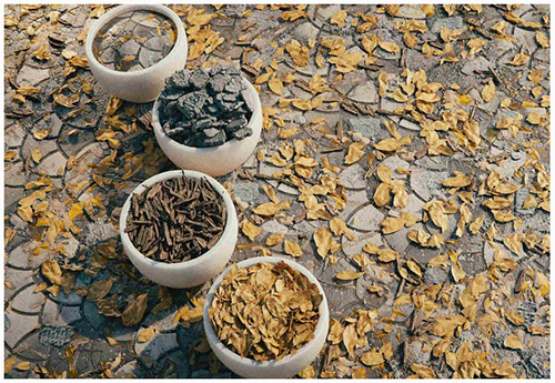 202305020537535754500002