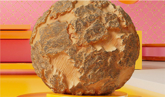 202305020540040515480001