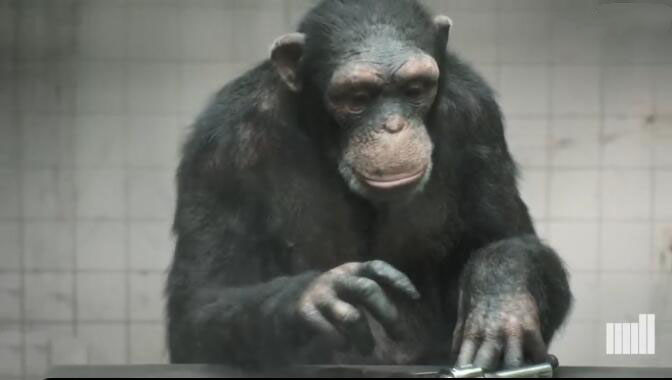 c4d arnold阿诺德一枝花下载