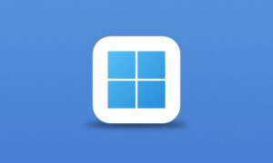 Windows 11 22H2 (OS build 22621.1848) RTM 原版多合一集成映像下载+安装教程