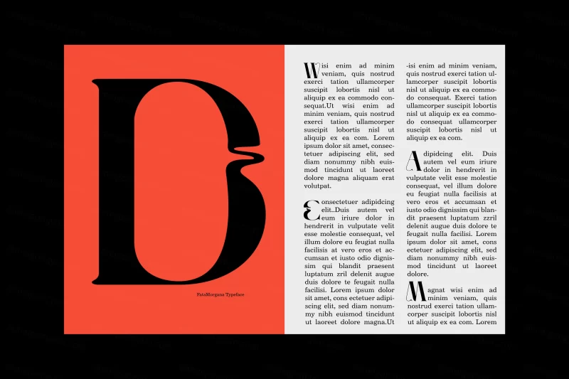 高质量受海市蜃楼启发的海报杂志排版女性品牌设计英文字体 FataMorgana Display Font下载+安装教程