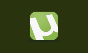 BT下载工具 uTorrent Pro v3.6.0.46884 去除广告绿色版下载+安装教程